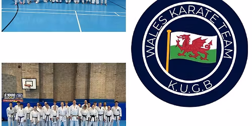 KUGB Wales junior, kata and kumite squad training 