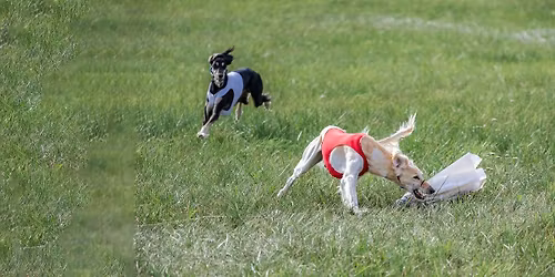 Championnat de France de poursuite \u00e0 vue sur leurre