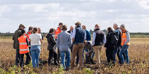 Unlocking the benefits of Dyson Farming Research potatoes membership