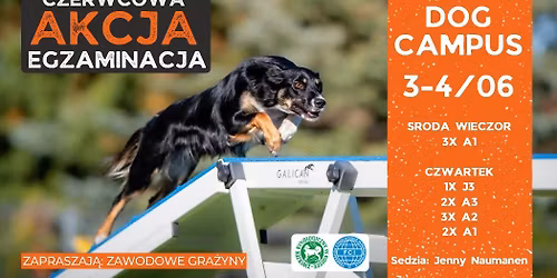 Czerwcowa Akcja Egzaminacja 3-4.06.2026