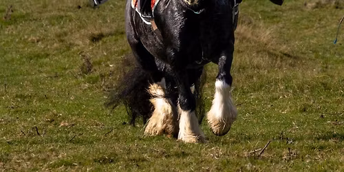 FANCY DRESS XMAS FUN RIDE