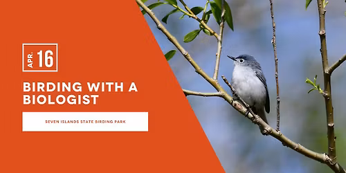 Birding with a Biologist