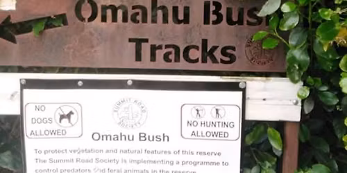 Omaha Bush track