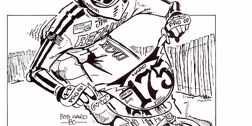 USA BMX SE Gold Cup Qualifier - TRIPLE District Points