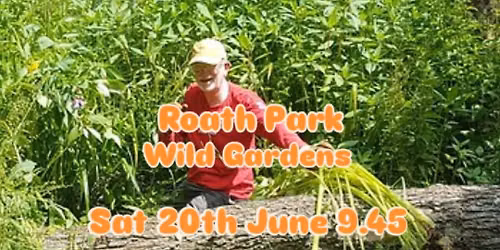 Roath Park Wild Gardens