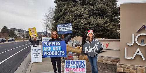 The Puppy Store Protest