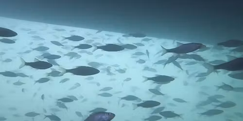 Gyereknap - Pillant\u00e1s a v\u00edz al\u00e1