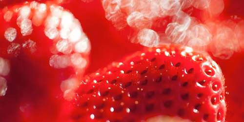 Prosecco and Strawberries and Cream Floral Event 30th June 7pm