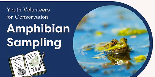 Youth Volunteers for Conservation (YV4C) Amphibian Sampling