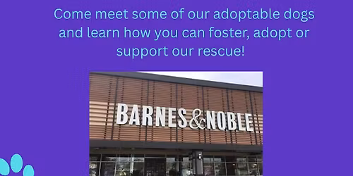 Barnes & Noble - Meet & Greet 