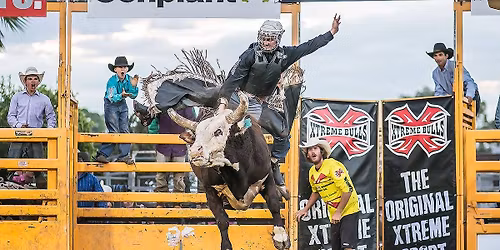 Xtreme Bulls at K Ranch