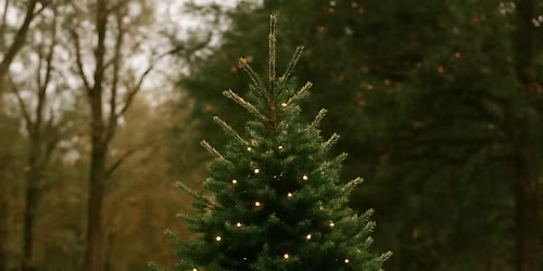 Christmas Mini Sessions at Battle Park \u2728