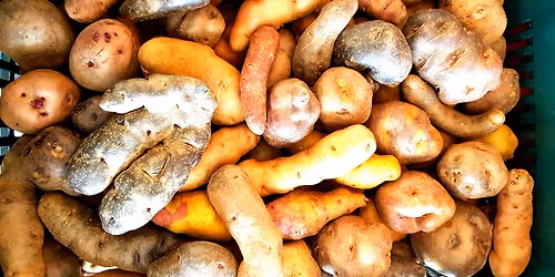 20th ISTRC Symposium