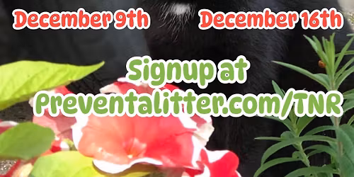 PALS December 16th TNR Clinic!