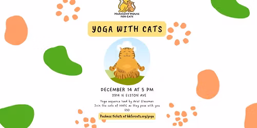 Yoga with Cats!