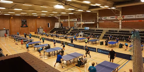 \u00d8lsted BTK Bat60+ st\u00e6vne