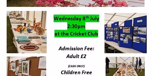 Mullion Village Show