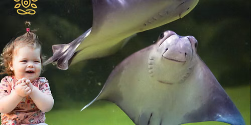 Stingrays & Yoga for Baby & Me
