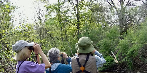 Rome Sand Plains Bird Walk