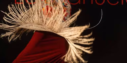 Tablao La Manuela: show de flamenco