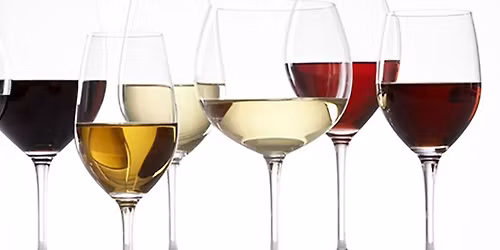 Casual blind wine tasting practice session