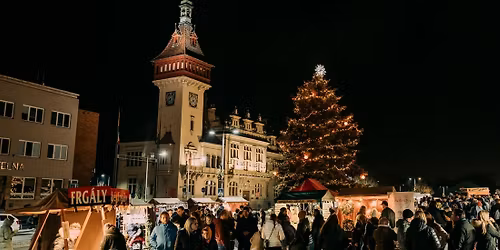 \u2728 Rozsv\u00edcen\u00ed v\u00e1no\u010dn\u00edho stromu \u2728