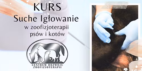 Kurs - Suche ig\u0142owanie w zoofizjoterapii ps\u00f3w i kot\u00f3w