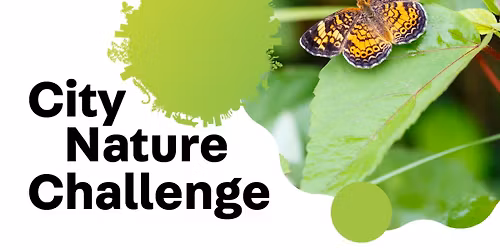 PHLT City Nature Challenge