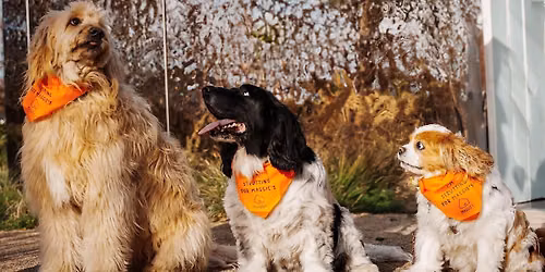 Mutt Strut for Maggie's