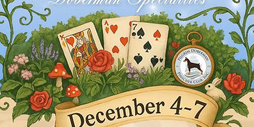 Alice in Wonderland PDPC Specialty Shows