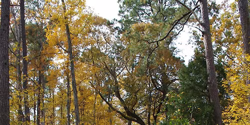 Autumn Hayride - 1:00 Session