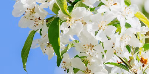 DESTINATION UNKNOWN - SPRING