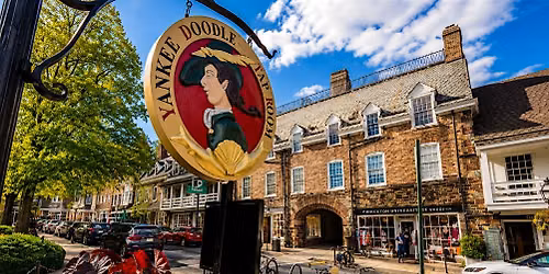 Princeton Puzzle Pursuit