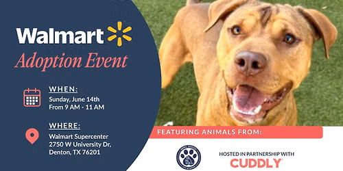 Walmart Adoption Event | Denton, TX