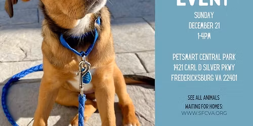 12\/21 Adoption Event at PetSmart Central Park