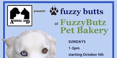 Adoptable Cats at FuzzyButz