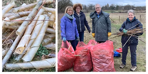 Tree Guard Removal at Frost Folly