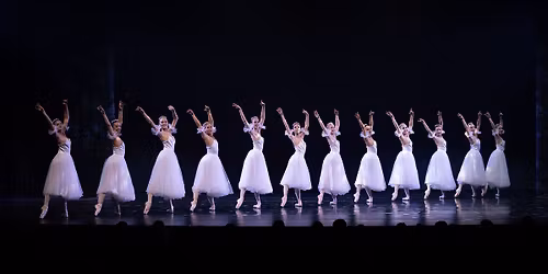 BIG Live presents The Nutcracker | Cairns