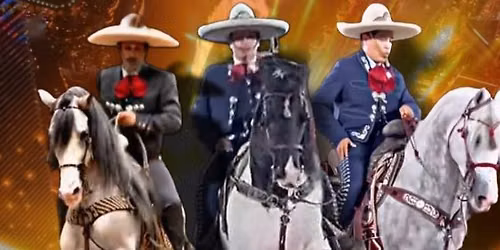 CONCURSO ELITE DE CABALLOS BAILADORES
