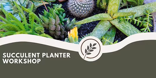 Succulent Planter Workshop