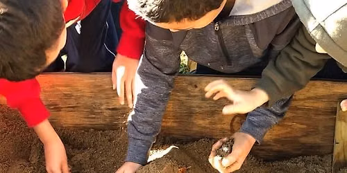 Archaeology School Day