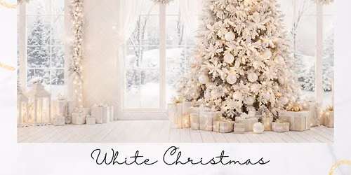 Chic White Christmas Minis \u2728\ud83c\udf84 | Shadowcatcher Imagery