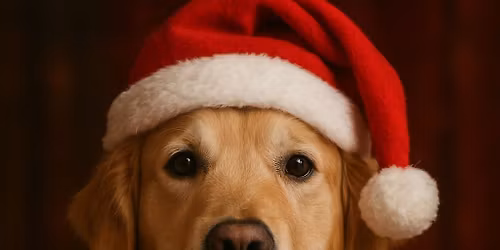 Miko\u0142ajkowy spacer socjalizacyjny