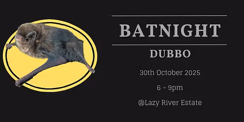 BatNight 2025