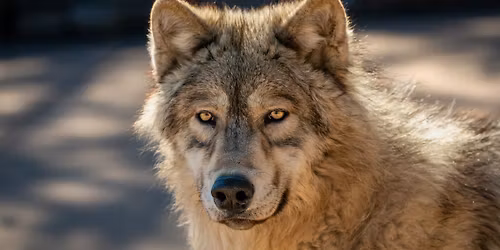 April 25 Family Day Open House