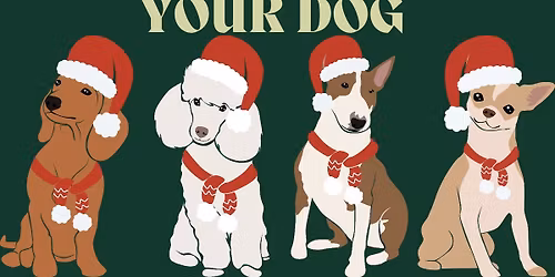 christmas parade with your dog 