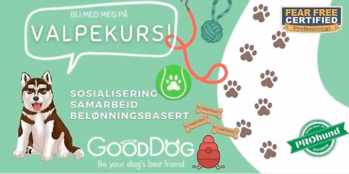 Innend\u00f8rs valpekurs