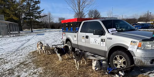 Vernon Hills Winterfest Sled Dog Demonstrations and More