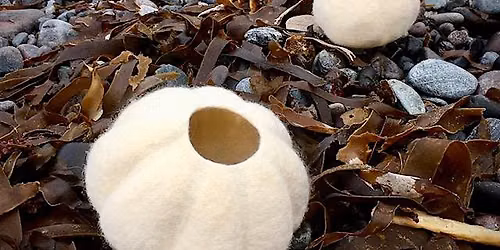 sculptural felting Workshop