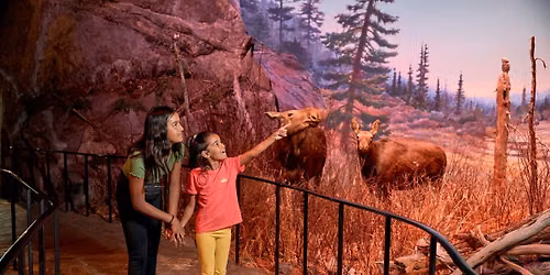 First Fridays @ the Manitoba Museum